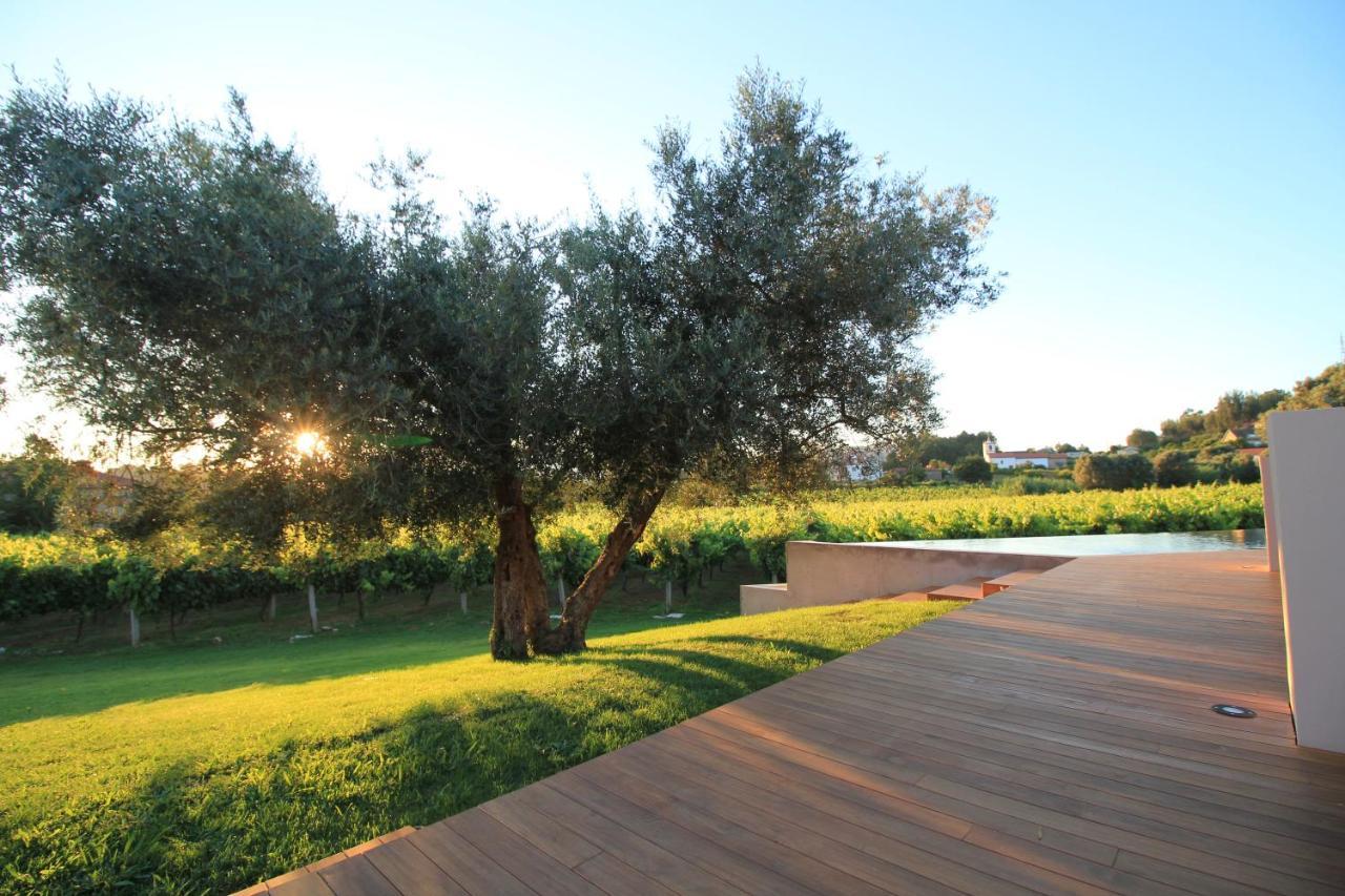 Vinha By Nhome Ponte de Lima Exterior photo